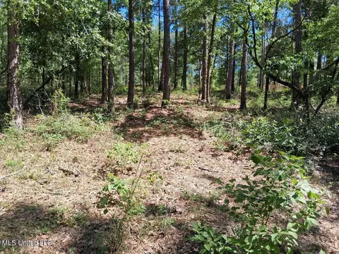 0 Ben Pierce, Lucedale, MS 39452 photo 15