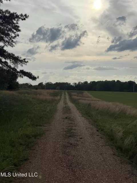 25523 Highway 51, Como, MS 38619 photo 5