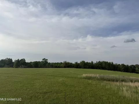 25523 Highway 51, Como, MS 38619 photo 4