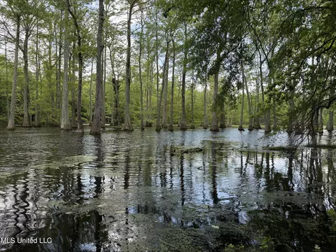 County Road 550, Minter City, MS 38944