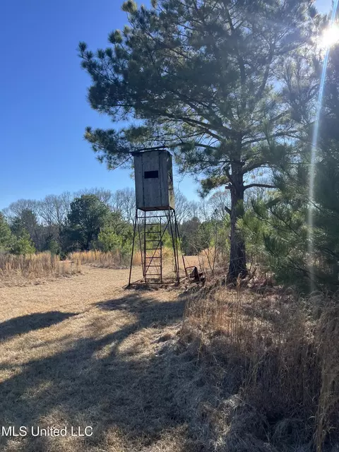 0 Holly Grove Ln, Hermanville, MS 39086