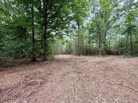 Mount Herman Road, Osyka, MS 39657
