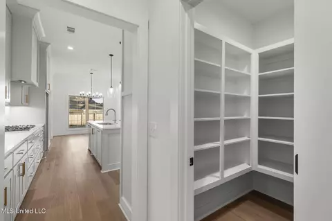 Entry Way - 124 Lakecrest Dr, Madison, MS 39110 photo 2 of 6
