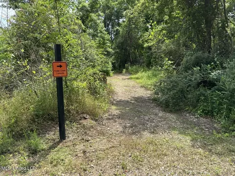 Other - 362 Rosetta Rd, Crosby, MS 39633 photo 18 of 21