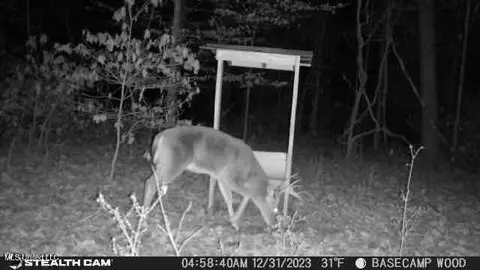Other - 362 Rosetta Rd, Crosby, MS 39633 photo 12 of 21