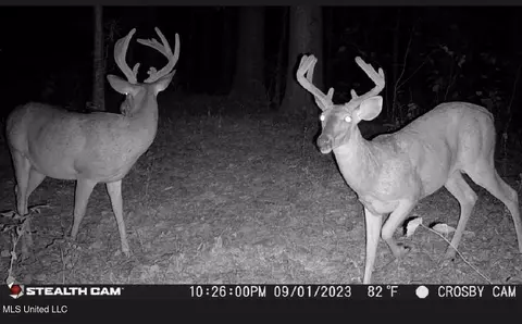 Other - 362 Rosetta Rd, Crosby, MS 39633 photo 2 of 21