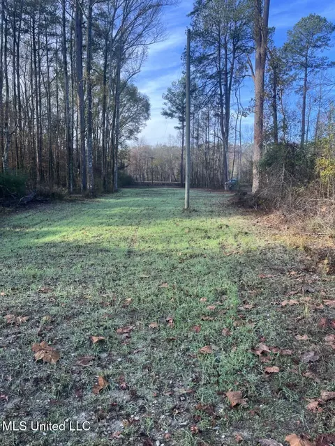 Other - 362 Rosetta Rd, Crosby, MS 39633 photo 3 of 21