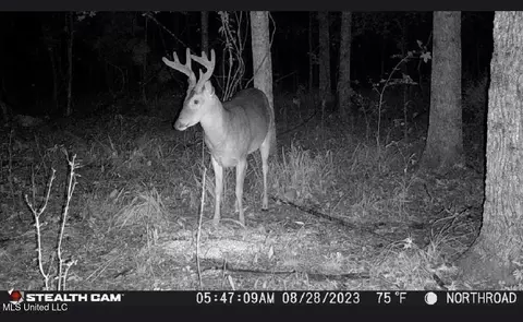 Other - 362 Rosetta Rd, Crosby, MS 39633 photo 1 of 21