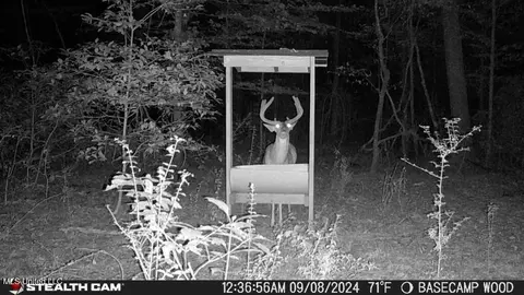 Other - 362 Rosetta Rd, Crosby, MS 39633 photo 20 of 21