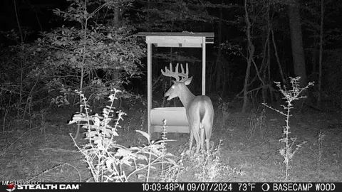 Other - 362 Rosetta Rd, Crosby, MS 39633 photo 21 of 21