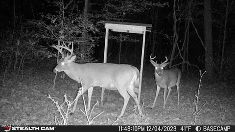 Other - 362 Rosetta Rd, Crosby, MS 39633 photo 16 of 21