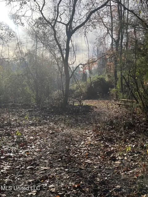 Other - 362 Rosetta Rd, Crosby, MS 39633 photo 4 of 21