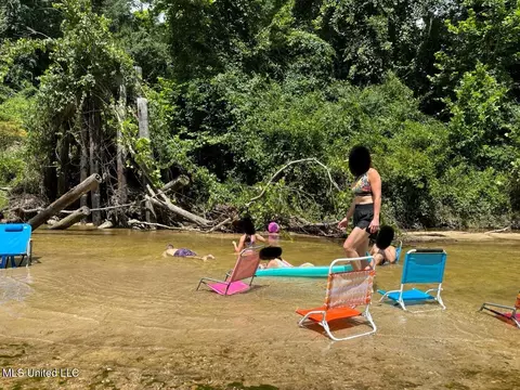 Other - 362 Rosetta Rd, Crosby, MS 39633 photo 6 of 21