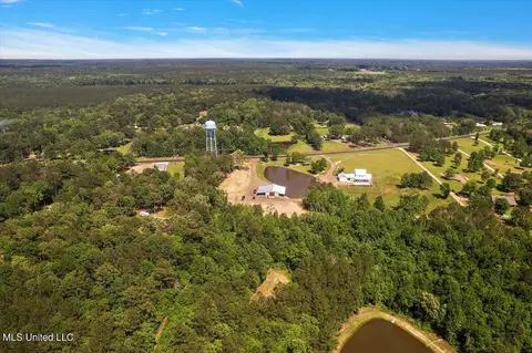 Other - 1254 Wade Patrick Rd, Brandon, MS 39042 photo 16 of 22