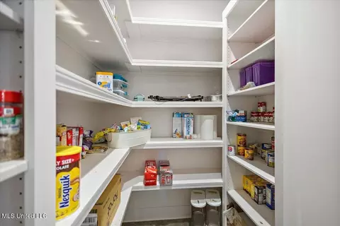 Other - 1254 Wade Patrick Rd, Brandon, MS 39042 photo 6 of 22