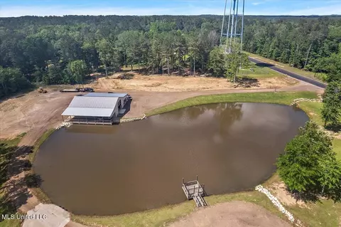 View/Area - 1254 Wade Patrick Rd, Brandon, MS 39042 photo 5 of 6