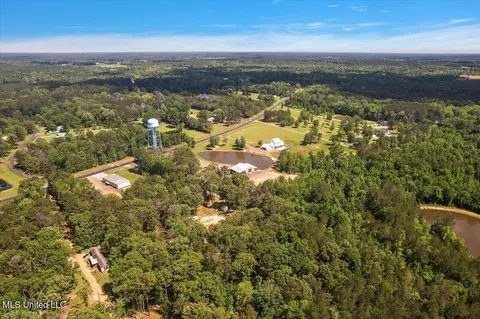 Other - 1254 Wade Patrick Rd, Brandon, MS 39042 photo 17 of 22