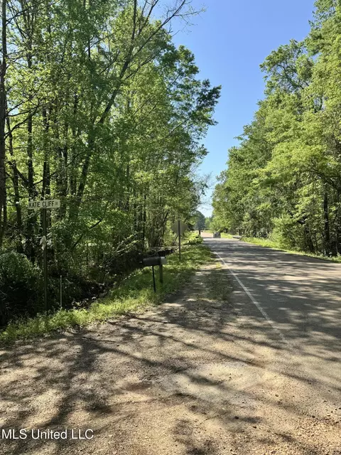 0 N Midway Rd, Raymond, MS 39154 photo 3