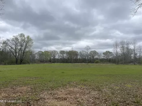 386 W Brown Rd, Canton, MS 39046 photo 3