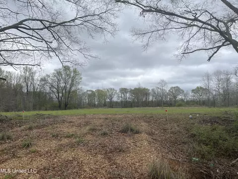 386 W Brown Rd, Canton, MS 39046 photo 2
