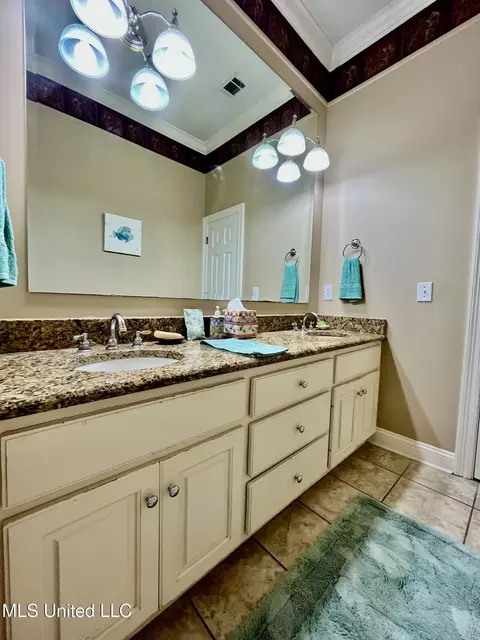 Bath - 415 Greenbriar St, Brandon, MS 39047 photo 9 of 9