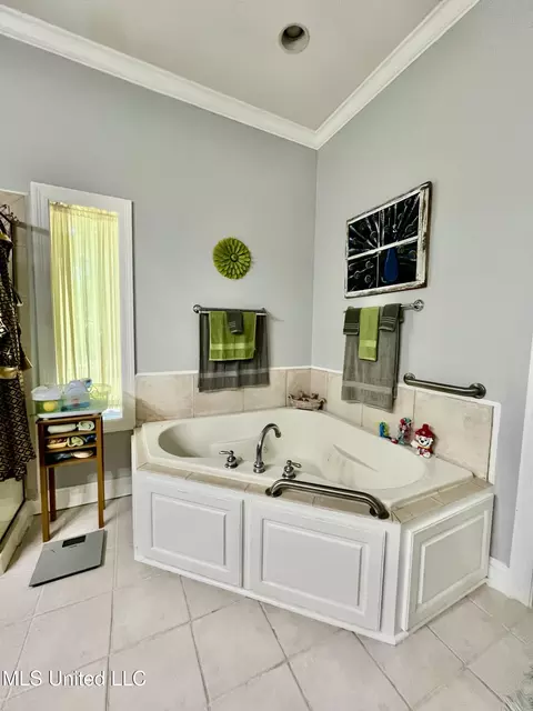 Bath - 415 Greenbriar St, Brandon, MS 39047 photo 2 of 9