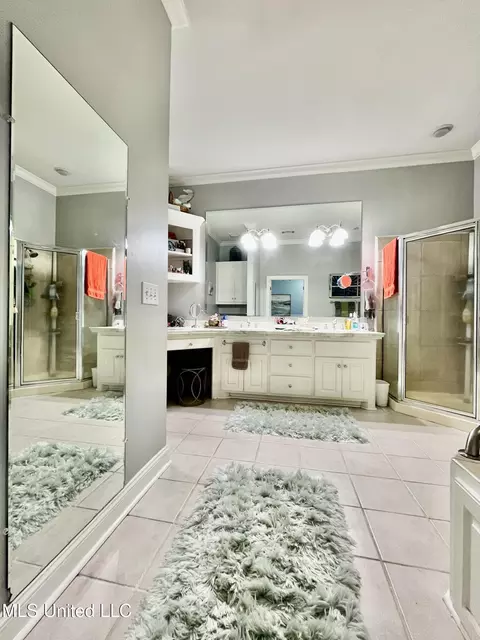 Bath - 415 Greenbriar St, Brandon, MS 39047 photo 1 of 9