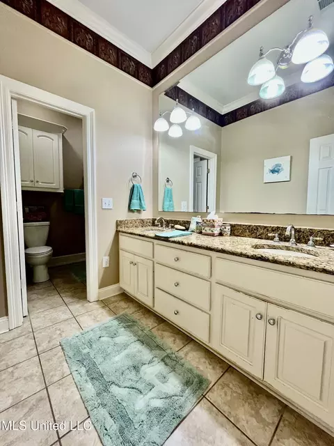 Bath - 415 Greenbriar St, Brandon, MS 39047 photo 6 of 9