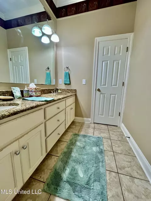 Bath - 415 Greenbriar St, Brandon, MS 39047 photo 7 of 9