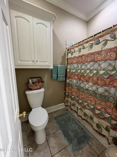 Bath - 415 Greenbriar St, Brandon, MS 39047 photo 8 of 9