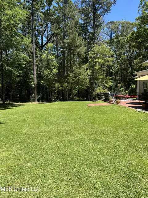 Exterior - 415 Greenbriar St, Brandon, MS 39047 photo 21 of 23