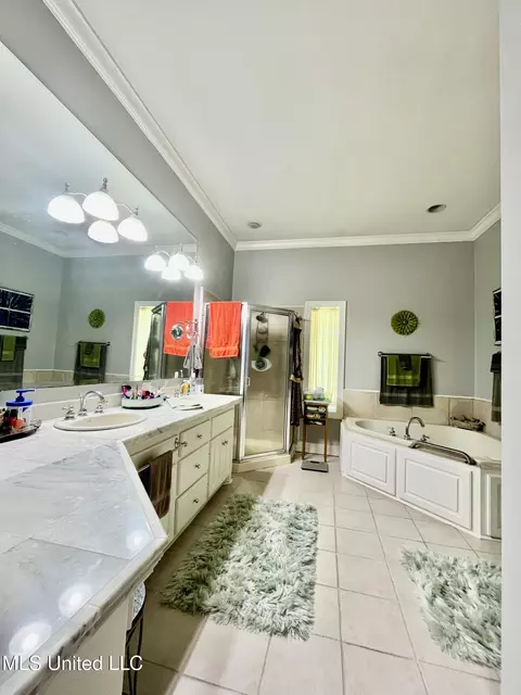 Bath - 415 Greenbriar St, Brandon, MS 39047 photo 3 of 9