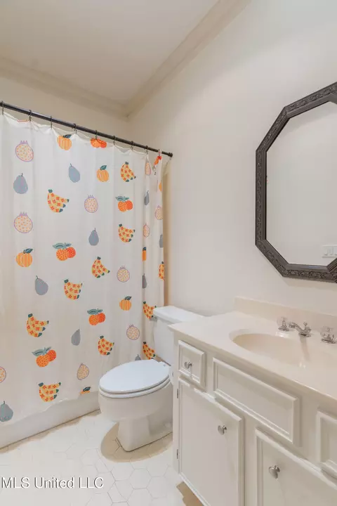 Bath - 255 Park Lane Pl, Jackson, MS 39211 photo 8 of 10