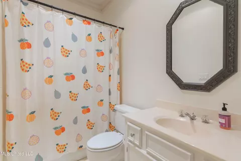 Bath - 255 Park Lane Pl, Jackson, MS 39211 photo 7 of 10