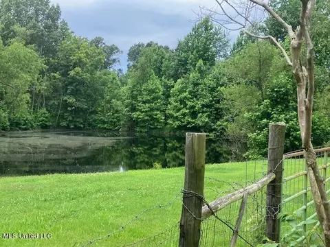 3065 Byhalia Rd, Hernando, MS 38632 photo 18