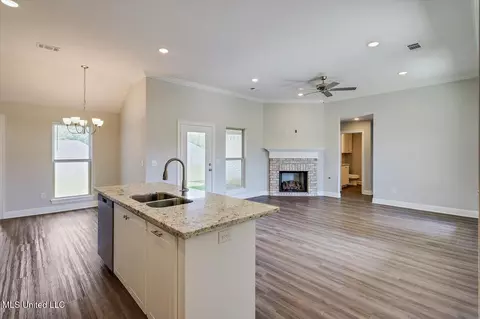 Living - 114 Bailey Cv, Canton, MS 39046 photo 4 of 4