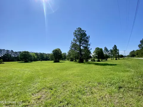 14 Crabapple Ln, Carriere, MS 39426