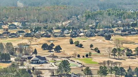 View/Area - 407 Belle Pointe Ln, Madison, MS 39110 photo 22 of 23