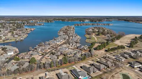 View/Area - 407 Belle Pointe Ln, Madison, MS 39110 photo 11 of 23