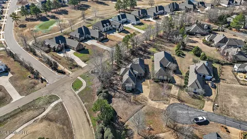 View/Area - 407 Belle Pointe Ln, Madison, MS 39110 photo 6 of 23