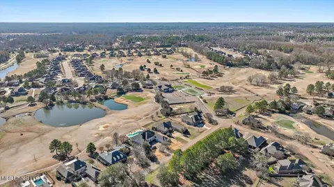 View/Area - 407 Belle Pointe Ln, Madison, MS 39110 photo 23 of 23