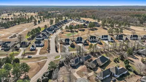 View/Area - 407 Belle Pointe Ln, Madison, MS 39110 photo 7 of 23