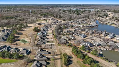 View/Area - 407 Belle Pointe Ln, Madison, MS 39110 photo 9 of 23