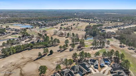 View/Area - 407 Belle Pointe Ln, Madison, MS 39110 photo 19 of 23
