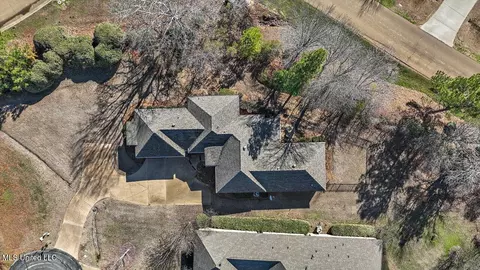 View/Area - 407 Belle Pointe Ln, Madison, MS 39110 photo 5 of 23
