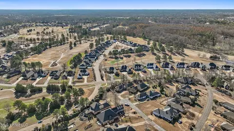 View/Area - 407 Belle Pointe Ln, Madison, MS 39110 photo 8 of 23