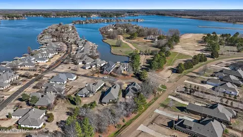 View/Area - 407 Belle Pointe Ln, Madison, MS 39110 photo 14 of 23