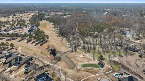 View/Area - 407 Belle Pointe Ln, Madison, MS 39110 photo 18 of 23