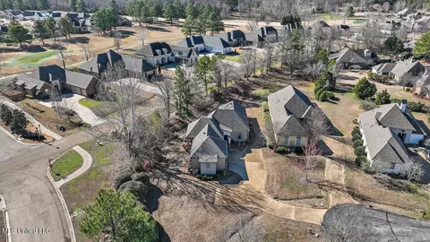 View/Area - 407 Belle Pointe Ln, Madison, MS 39110 photo 2 of 23