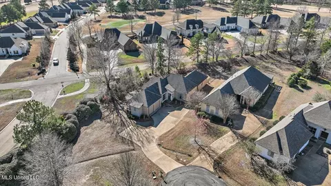 View/Area - 407 Belle Pointe Ln, Madison, MS 39110 photo 3 of 23